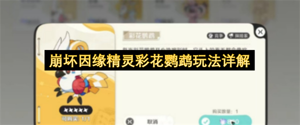 崩坏因缘精灵彩花鹦鹉玩法详解