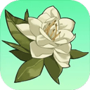 小城茉莉最新版