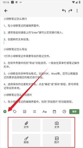 小绿鲸手机版