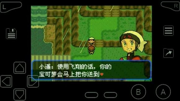 口袋妖怪绿宝石202