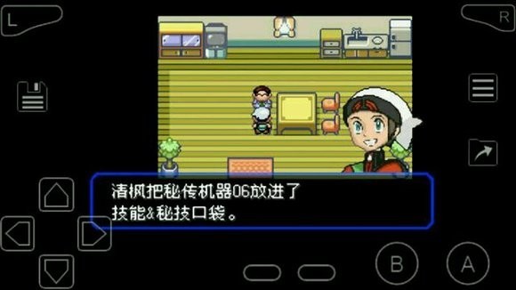 口袋妖怪绿宝石202