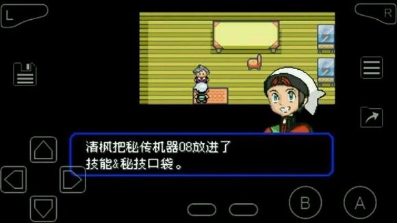 口袋妖怪绿宝石202