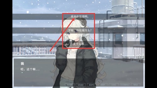 氤氲之白galgame