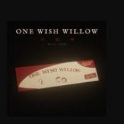 许愿柳onewishwilow