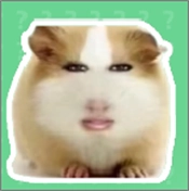猪妞语音盒