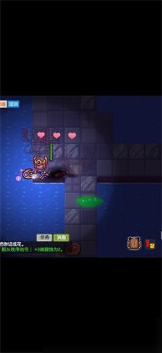 伊洛纳最新版