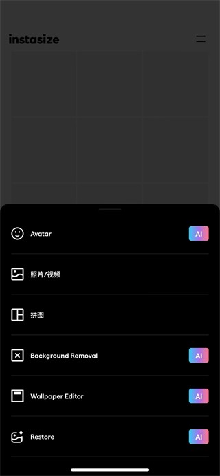 InstaSize免费版