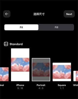 InstaSize免费版