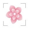 flow音乐照片