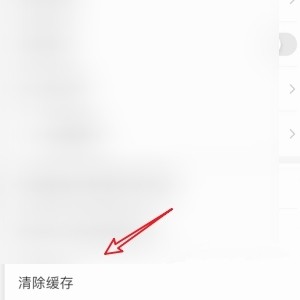 掌阅