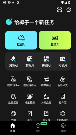 椰子设计