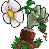 植物大战僵尸招笑版1.0