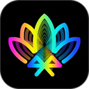 ‌宝莲灯Pro‌版