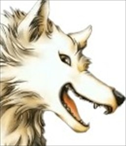 幻想水浒传12重制版