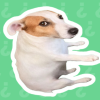 耍起语音盒