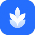 麦片屏幕翻译app